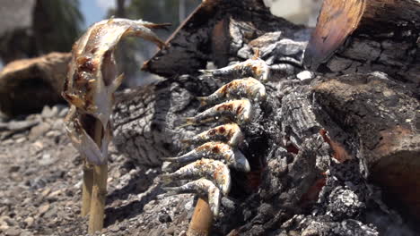 Slow-Motion-of-Sardines-Fish-Skewer-Fire-Grilled-with-Burning-Firewood