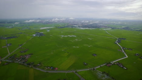 Fliegen-über-Grünen-Reisfeldern-Auf-Landwirtschaftlichen-Ackerflächen-Am-Meer