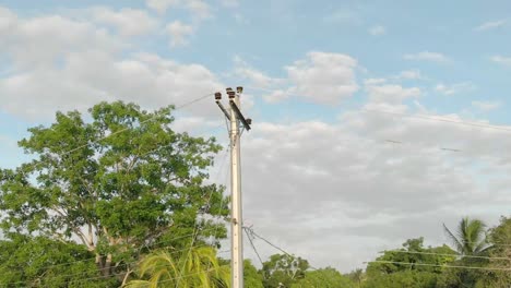 Encuesta-De-Comunicación-De-Servicio-En-La-Isla-De-Trinidad-Y-Tobago-60-Cuadros-Por-Segundo-Usando-Dji-Mavic-Air