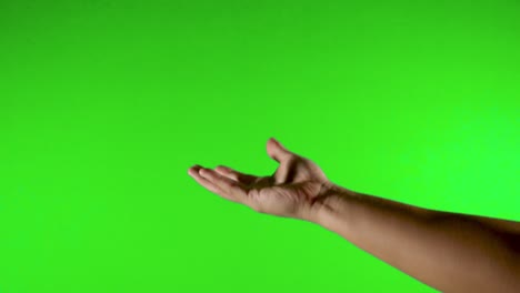 orange-with-green-background-throwing-up-orange-with-green-screen---green-background