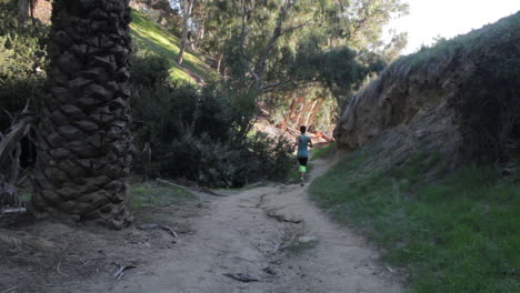 A-long-distance-runner-keeps-pace-as-she-passes-palm-trees-on-a-narrow-dirt-path