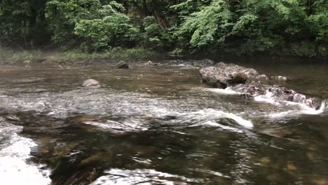 Fließender-Fluss-Durch-Einen-Dichten-Wald