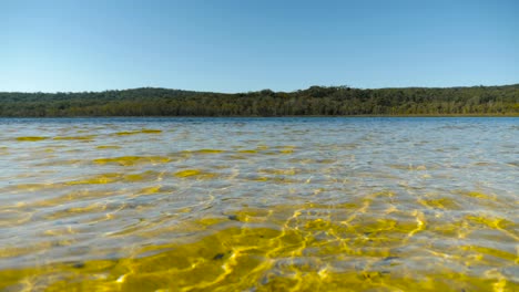 brown-lake,-eucalyptus-lake,-north-stradbroke-island,-queensland,-Australia