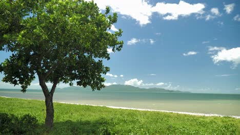 beach-landscape-near-the-strand,-townsville,-Queensland-Australia