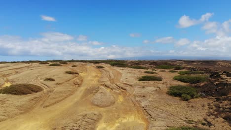 Drone-Aéreo-Disparó-4k-Movimiento-Hacia-Arriba-Y-Hacia-Los-Lados---Pistas-De-Automóviles-Fuera-De-La-Carretera-Entre-Pastizales-Ondulantes-Con-El-Pacífico-En-El-Horizonte