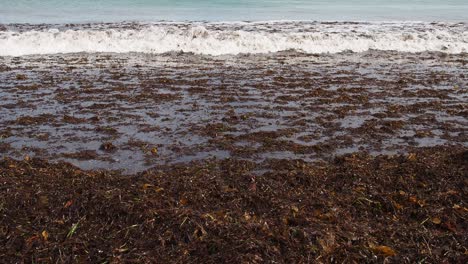 Wildwasserwelle-Bricht-über-Algen-Und-Spritzt-über-Strandwurf