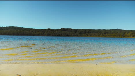 Brown-Lake,-Eucalyptus-Lake,-North-Stradbroke-Island,-Queensland,-Australien