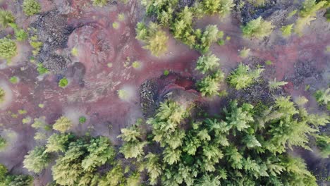 Aerial-drone-shot-4k---volcanic-eruption-recovery-area-with-vegetation-and-visible-lava-flows