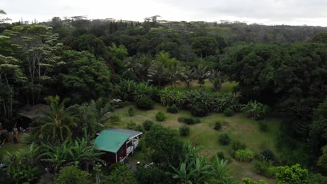 Upward-movement-Aerial-drone-shot-4k---jungle-house-hawaii-island