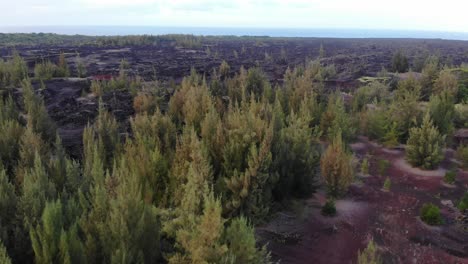 Aerial-drone-shot-4k-descending---volcanic-eruption-recovery-area-with-vegetation-and-visible-lava-flows
