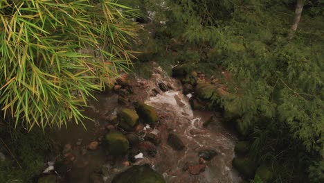 Luftaufnahmen-Fluss-Und-Bäume-Herum