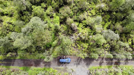 person-arrives-at-unusual-off-grid-fern-forrest-location-in-hawaiian-acers-with-a-parking-car-on-a-very-basic-off-grid-road