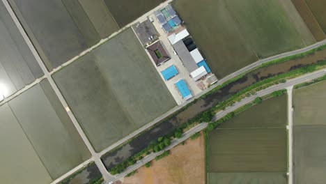 Quadratische-Koreanische-Reisfelder,-Incheon