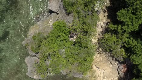 über-Einem-Türkisfarbenen-Wasserstrand-Fliegen,-Wellen,-Die-Gegen-Die-Küstenlinie-In-Bali-Brechen,-Fantastischer-Großer-Felsen-Mit-Baum