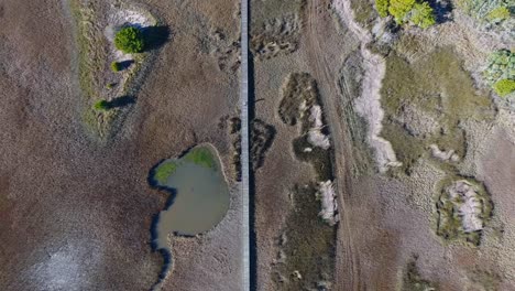 Aerial-View-of-man-walking-over-marsh-on-long-wooden-bridge