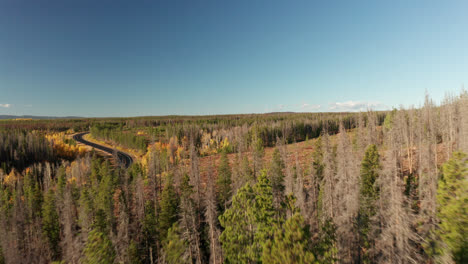 Northern-Colorado-drone-footage-of-fall-colors-in-the-mountains
