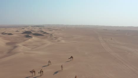 Toma-Aérea-De-Un-Rebaño-De-Camellos-Caminando-Lentamente-En-El-Desierto-árabe-Seco-Y-Caliente