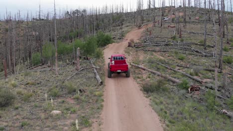 Two-off-road-trucks-slowly-drive-up-sandy-road-in-sparse-open-trees