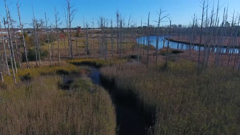 Drone-flies-along-creek-wetlands-approaching-ghost-trees