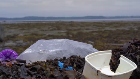 Plastikverschmutzung-Am-Strand-Mit-Algen-Einige-Hügel-Am-Horizont