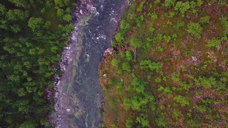 Aerial-of-Pure-fresh-clear-water-stream-flowing-through-green-forest