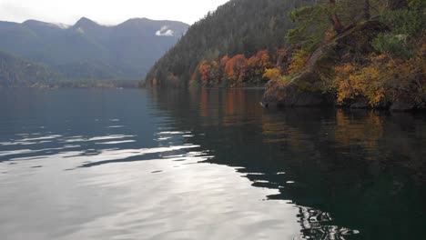Low-angle-aerial-of-orange-autumn-leaves-on-calm-mountain-lake-shore