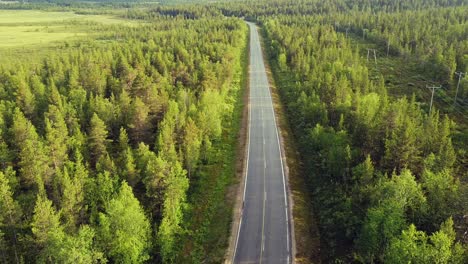 Road-trip-on-empty-highway-aligned-by-vibrant-green-pinewoods,-lapland,-Finland