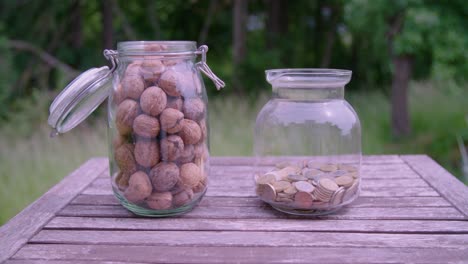 Medium-Comparison-Walnuts-and-Euro-Coins-in-glasses-with-beautiful-meadow-in-background