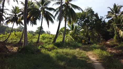 Dos-Personas-Caminando-A-La-Sombra-De-Los-Cocoteros-En-Las-Islas-Andaman-Al-Final-De-La-Tarde-Hacia-La-Jungla
