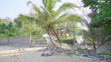 Coco-Fresco-A-La-Venta-Justo-Encima-De-La-Entrada-De-La-Playa-En-Las-Islas-Andaman-Neill-Sitapur-Con-Un-Poco-De-Plástico-Lavado-Del-Océano-Visible-En-Los-Escombros-Del-Lado-Izquierdo