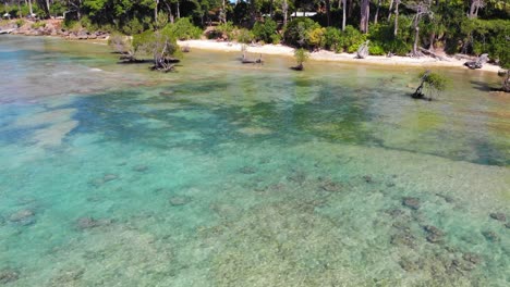 Forward-moving-drone-shot-over-shallow-water-toward-an-Andaman-beach-with-a-small-guest-house-visible-through-the-ancient-trees-and-coconut-palms