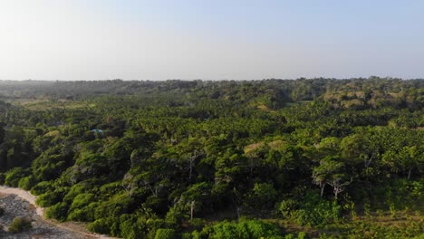 Von-Links-Nach-Rechts-Drohnenbewegungsansicht-Der-Andamaneninsel-Im-Nachmittagslicht-Mit-Der-Andamanensee-Im-Hintergrund-Und-Ackerland-Im-Vordergrund-Mit-Kleinen-Gehöften,-Wald,-Feldern,-Jungen-Kokospalmen
