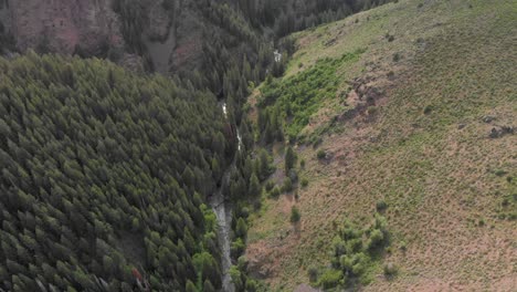 Tilt-shift-aerial-of-shallow-river-valley-and-evergreen-conifer-forest