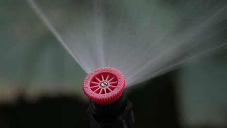 Anpassen-Des-Sprinklersprays-Am-Steigrohr,-Um-Pflanzen-Im-Garten-Zu-Bewässern