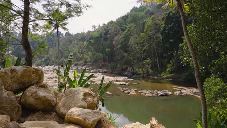 Slow-walk-with-the-camera-along-the-dry-bank-of-the-Nallathani-river-in-Munnar-a-few-months-after-the-rains-with-bright-sunshine-rocky-areas-on-the-river-bed-and-banana-trees-in-the-foreground