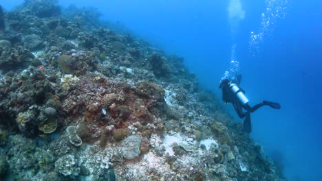 Zwei-Taucher-Im-Tiefen-Ozean-Schwimmen-über-Einem-Erstaunlichen-Korallenriff,-Während-Sie-Blasen-Atmen,-Philippinen
