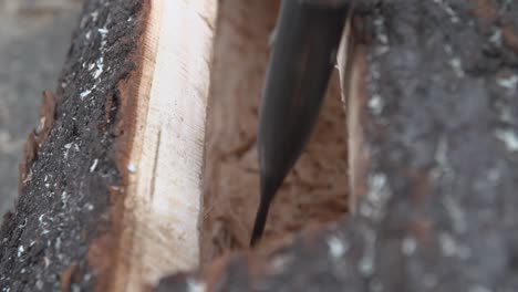Close-up-woodwork-with-chiseling-of-the-hollow-of-a-trunk-of-wood