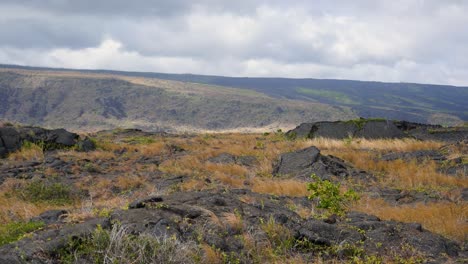 De-Pie-En-Las-Laderas-De-Un-Volcán-Activo-Con-Algo-De-Vegetación-Típica-Que-Crece-Entre-Y-Sobre-Las-Rocas