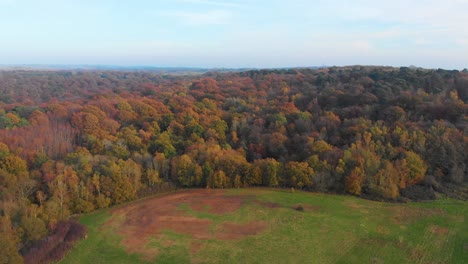4k-forward-movement-drone-with-autumn-fall-forest-woods
