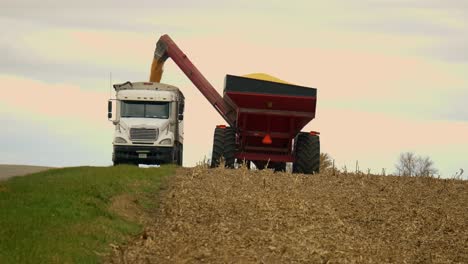 A-Midwest-farmer-harvesting-a-corn-field-with-a-combine,-tractor,-and-auger-wagon