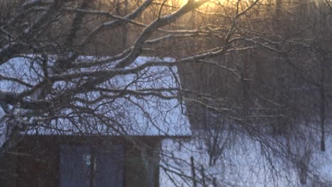 Winzige-Eisflocken,-Die-Durch-Das-Sonnenlicht-Vor-Einem-Kleinen-Schneebedeckten-Haus-Im-Wald-Fallen