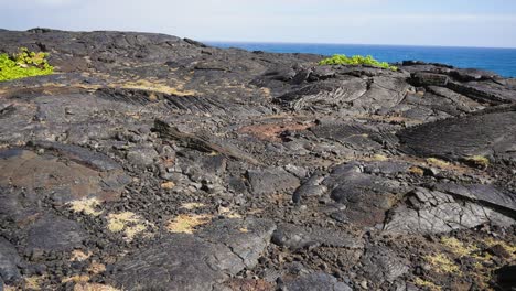Walking-over-lava-flows-on-the-coast-of-Hawaii-with-the-Pacific-Ocean-in-the-background-and-some-indigenous-vegetation