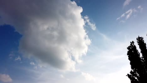 Zeitraffer-Des-Himmels-Und-Der-Wolken,-Die-Sich-Bewegen-Und-Auf-Einer-Pappel-Enden,-Die-Sich-Gegen-Die-Nachmittagssonne-Abhebt