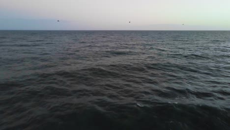 Breite-Aufnahme-Von-Wellen,-Die-Hereinrollen,-Während-Der-Vogel-Bei-Sonnenuntergang-In-Blaues-Strandwasser-Taucht