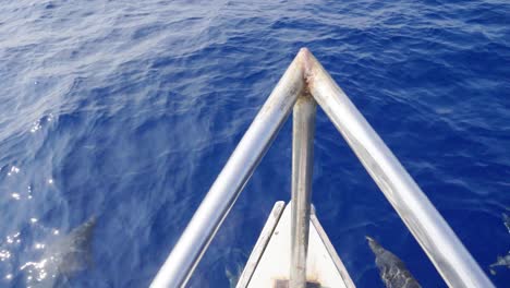 Schote-Delfine-Vor-Einem-Fischerboot,-Das-In-Der-Azurblauen-Kobaltblauen-Andamanensee-Springt-Und-Spielt