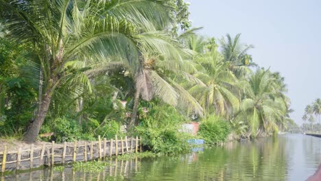 Aufnahme-Von-Einem-Boot-Aus,-Das-Sich-In-Der-Hitze-Des-Tages-Langsam-Entlang-Der-Backwaters-Von-Kerala-Bewegt,-Während-Palmen-Das-Ufer-Säumen