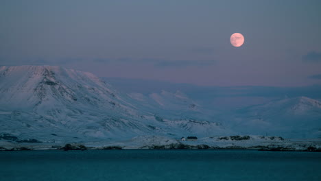 Moonrise,-Snowy-Pink-Mountains,-Sea,-Videy-Reykjavik,-Timelapse