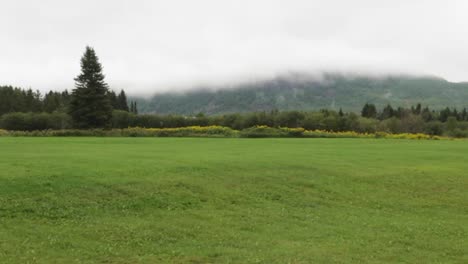 Beautiful-green-meadow-and-foggy-mountain-in-the-distance