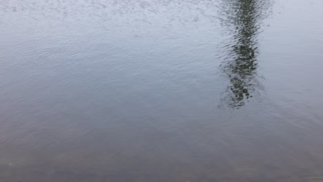 Neigung-Zum-Teich-Mit-Wasserspiegelung-Des-Baums
