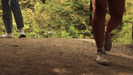 Mädchen-Erkunden-Den-Wald-Auf-Dem-Wanderweg-An-Einem-Schönen-Sommertag-In-Kanada